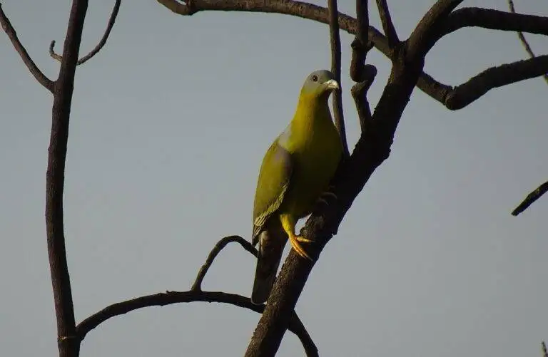 Campaign Finance Reform: Challenges and Solutions