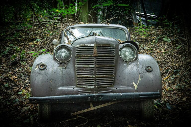 The Role of Biomimicry in Car Design: Learning from Nature’s Efficiency