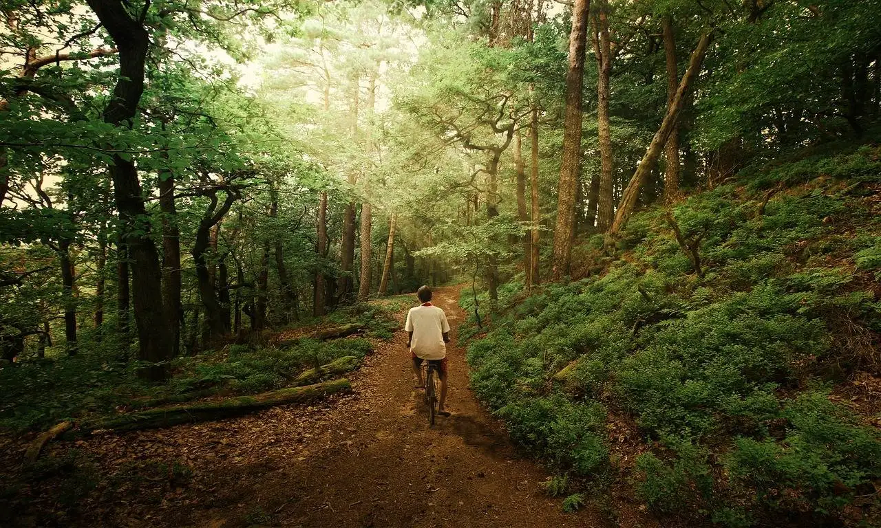 Promoting Teamwork and Collaboration in Education