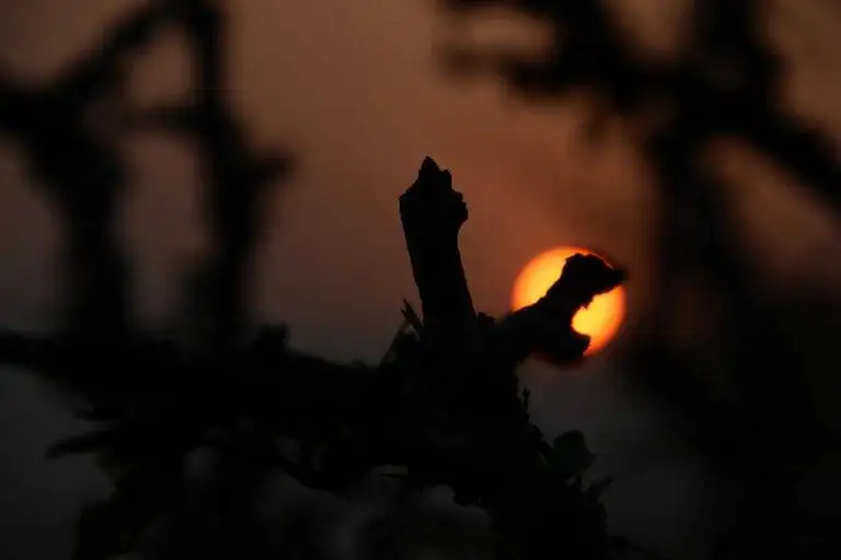 Election Campaigning During Times of Crisis