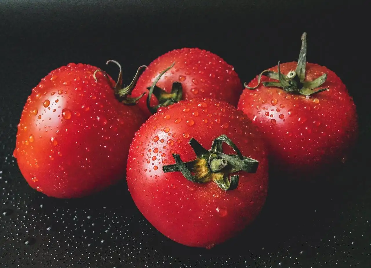 Exploring the Link Between Nutrition and Bone Health