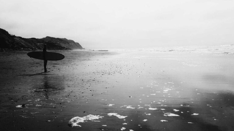 How To Watch Live Matches On Cricbet99 Win?