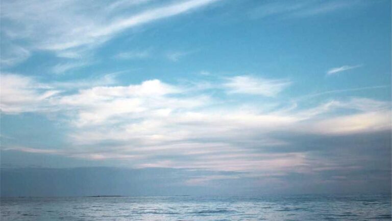 How To Fill The Form On 99Exch Com Register Page?