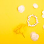 Reddybook Review: How This Innovative Platform is Transforming Digital Publishing and Marketing